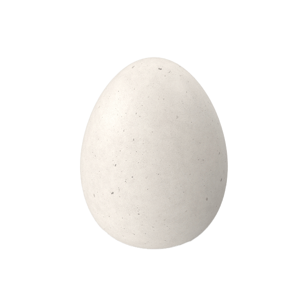 Egg
