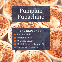 Pumpkin Pupachino